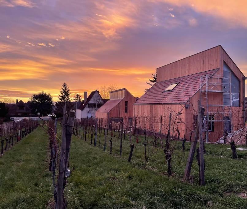 Le Cepage, Au Coeur Des Vignes. Villa Eguisheim Exterior foto