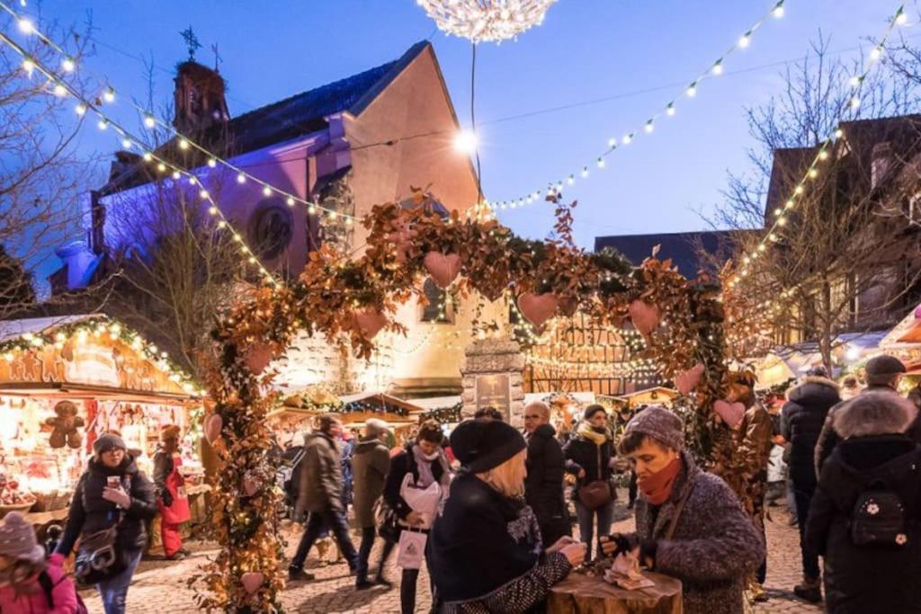 Le Cepage, Au Coeur Des Vignes. Villa Eguisheim Exterior foto